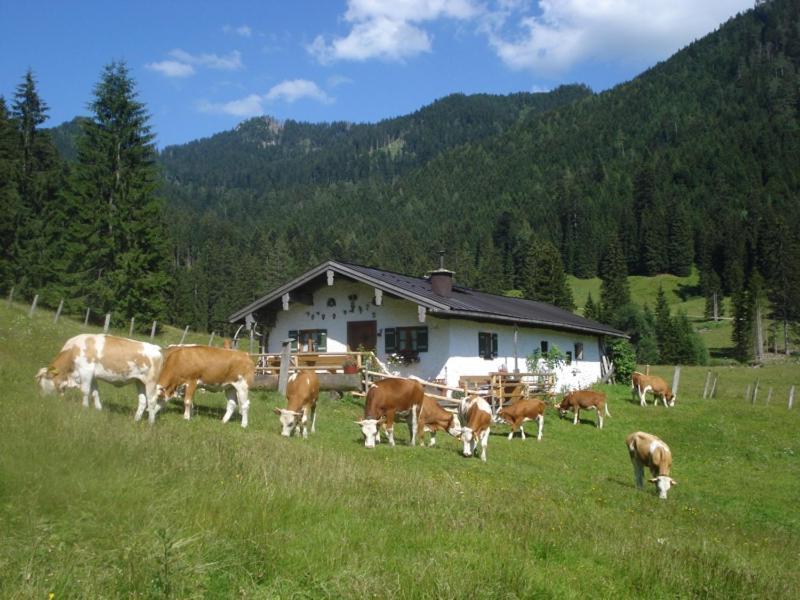 Schneider-Hof Villa Ruhpolding Exterior photo