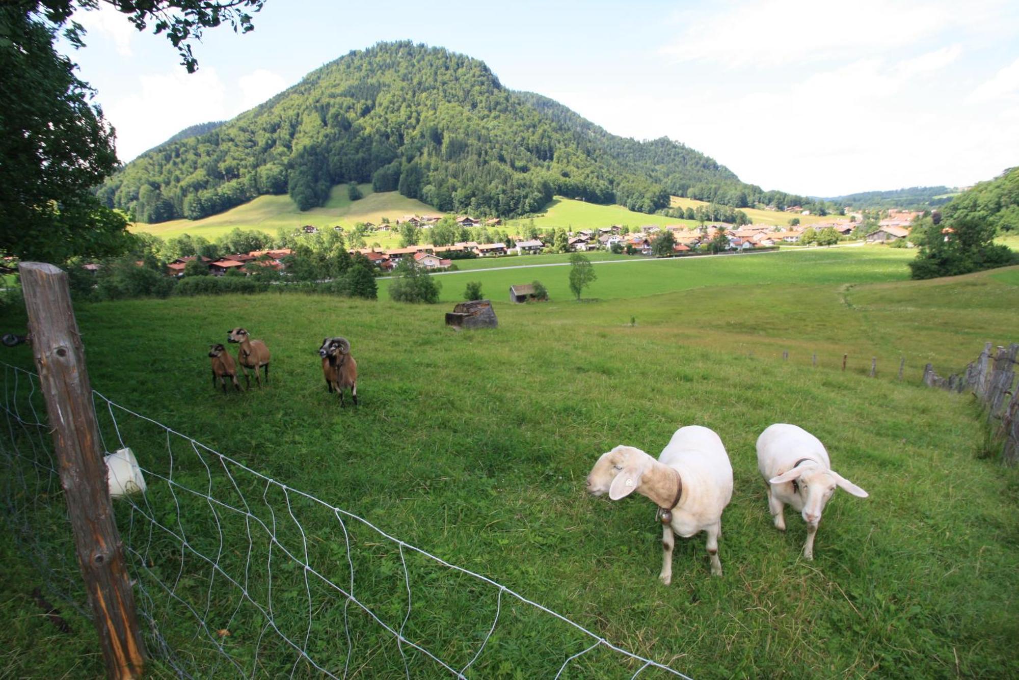 Schneider-Hof Villa Ruhpolding Exterior photo